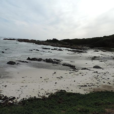 Bed and Breakfast Wave Dancer Gansbaai Exterior foto