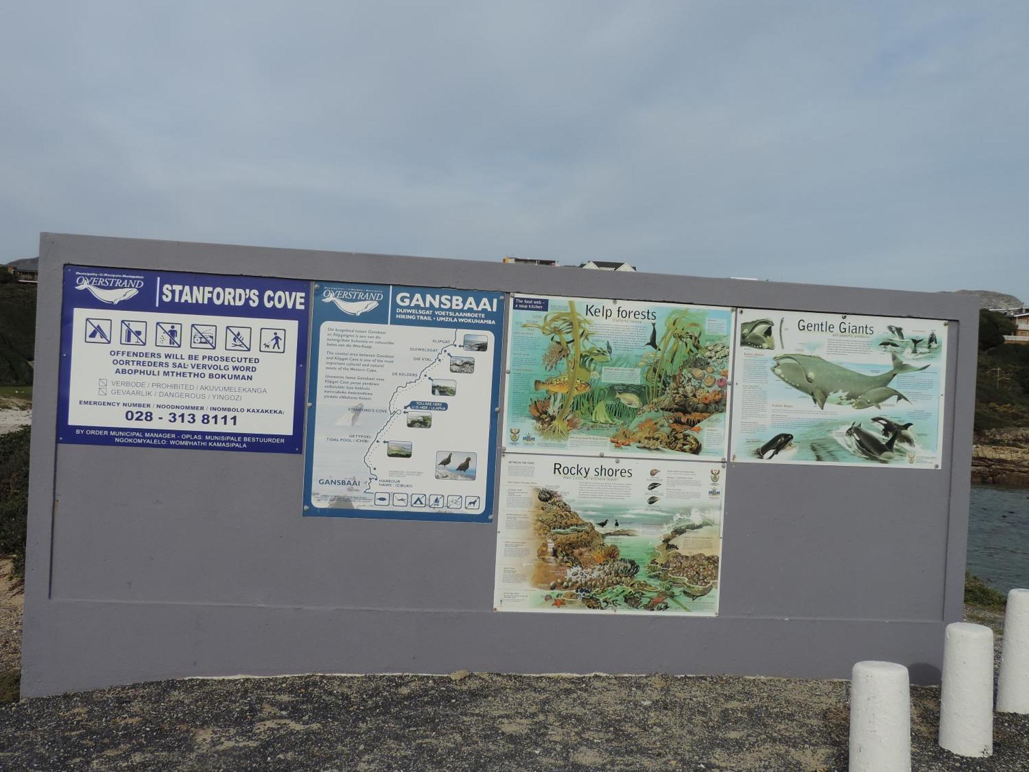 Bed and Breakfast Wave Dancer Gansbaai Exterior foto