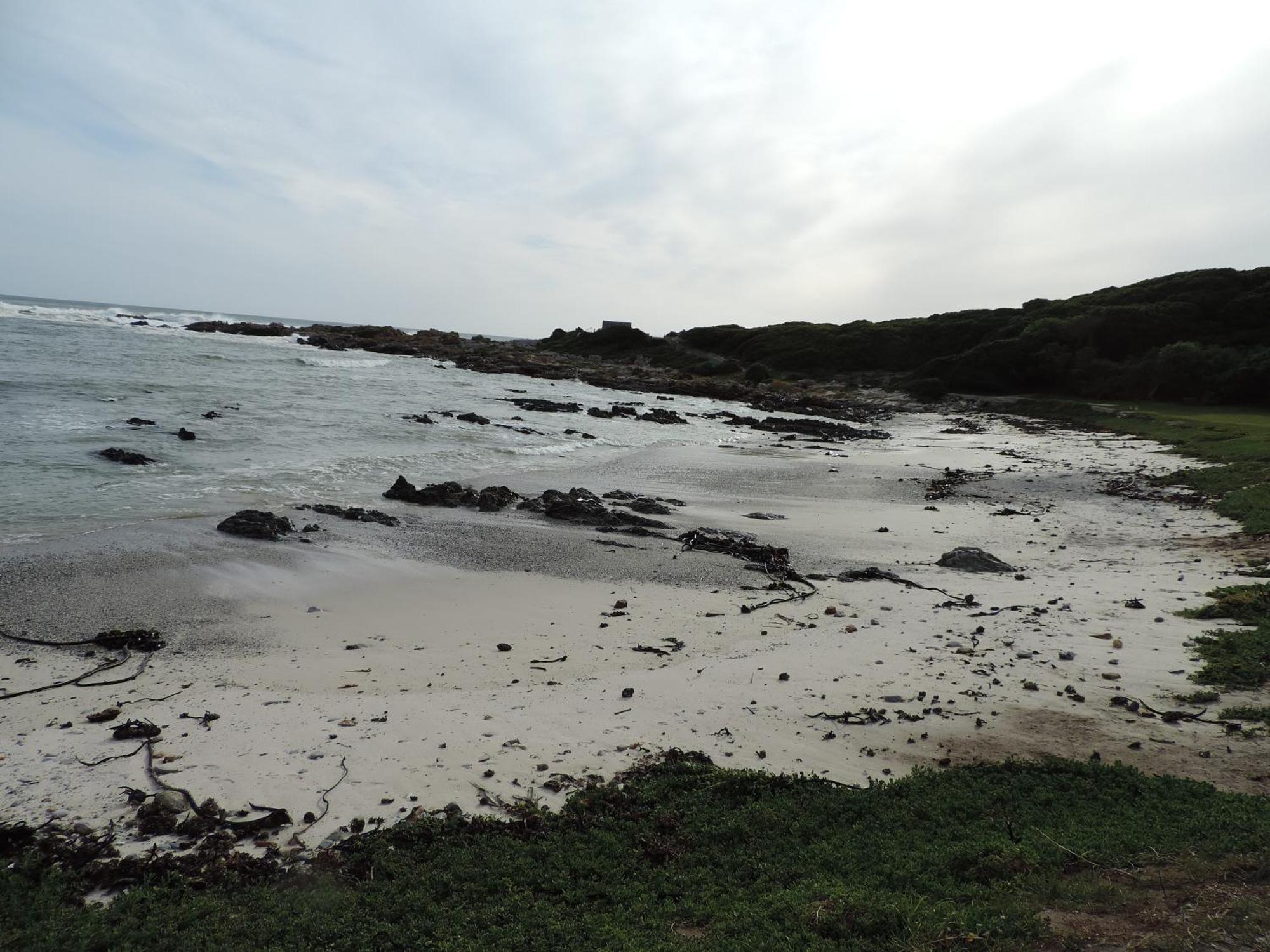 Bed and Breakfast Wave Dancer Gansbaai Exterior foto