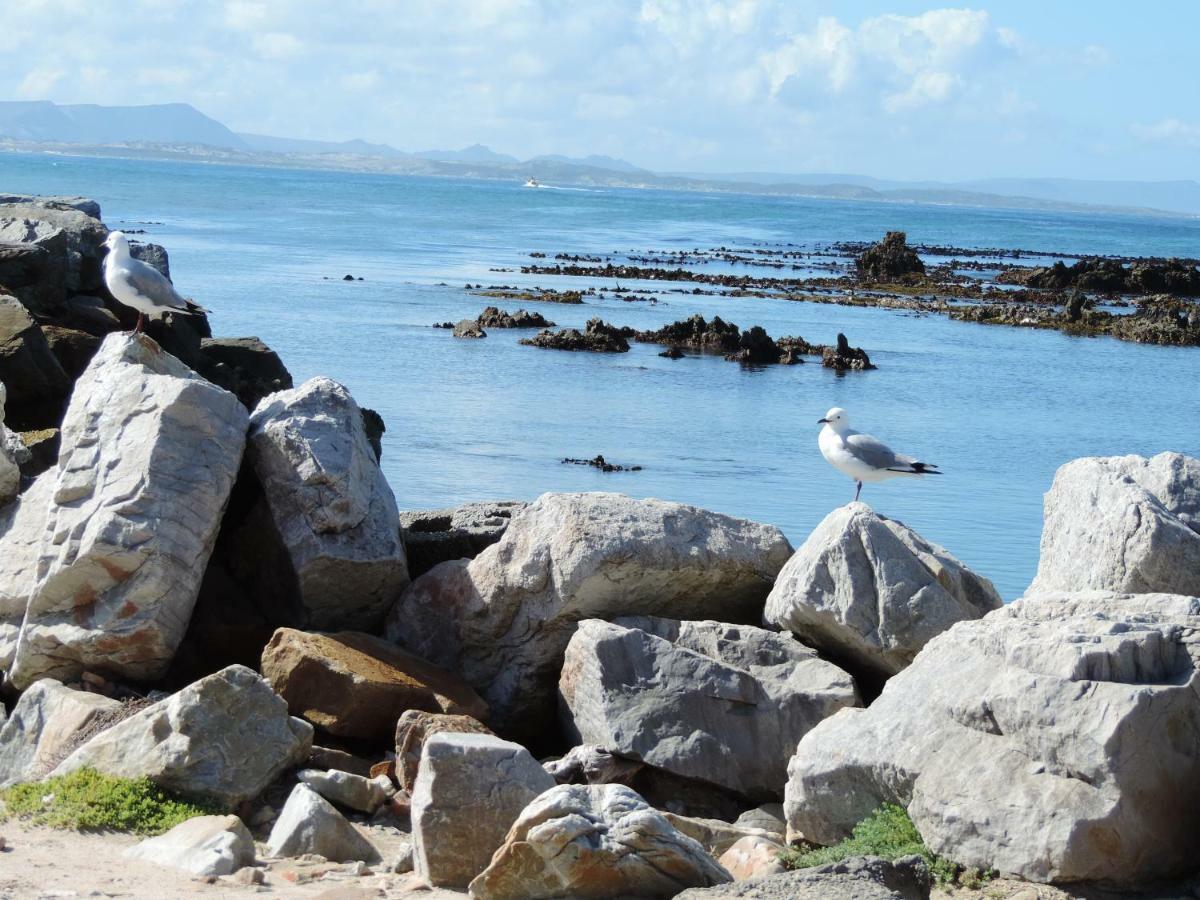 Bed and Breakfast Wave Dancer Gansbaai Exterior foto