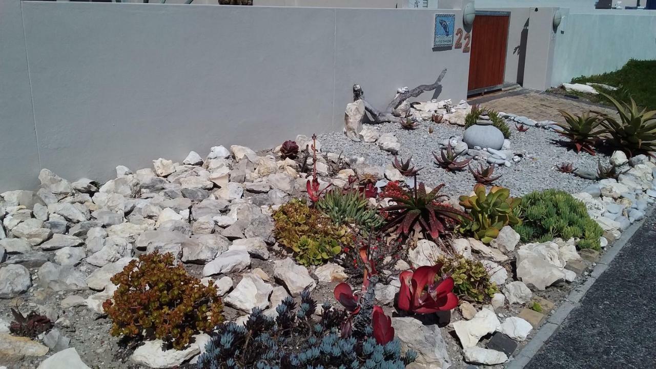 Bed and Breakfast Wave Dancer Gansbaai Exterior foto